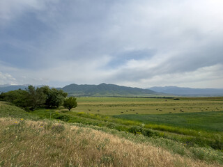 Fototapeta premium Summer landscape of Kyrgyzstan with green field, mountains and cloudy sky, rural nature and open space.