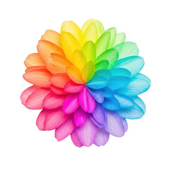 Fototapeta premium Rainbow colored flower isolated on transparent background 1