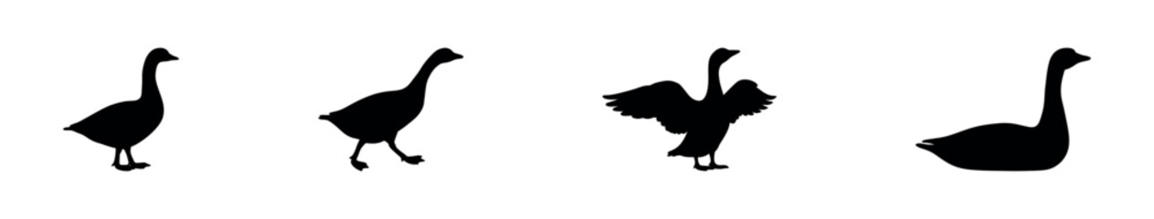 Collection of diverse geese poses including standing walking flapping wings and sitting for farm animals and poultry projects wildlife themes and animal welfare resources © Pixel Perfect PNG