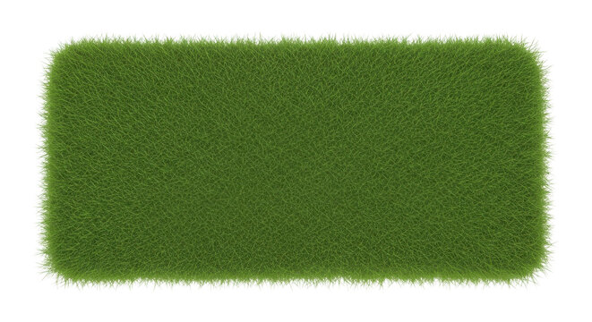 Green Grass Rectangular Patch Isolated on White Background