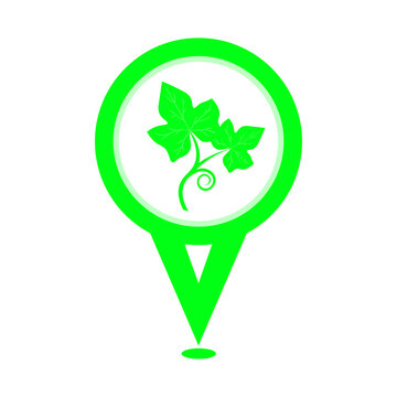 cute green ivy gourd leaf vegetable location pin icon