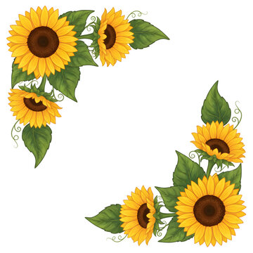 Yellow Sunflower Corner Border Design with Green Leaves and Vines