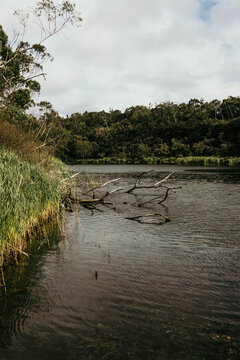 The Glenelg river looking upstream