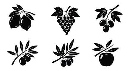 Obraz premium Set of 6 fruit icons vector, black and white