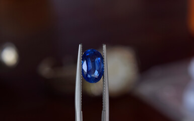 Blue sapphire Gemstone Expensive blue