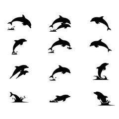 dolphin silhouette © Nadun