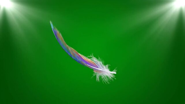 Colorful Feather Floating in Air.