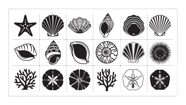 Vintage seashell and coral collection in minimalist line art style