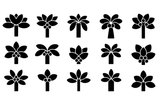 Coconut Tree Solid Element Set