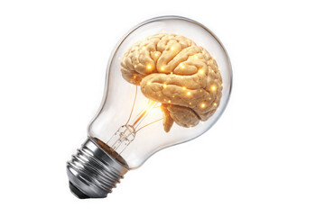 Creative human brain inside glowing lightbulb represents innovation and wisdom