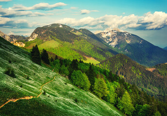 Fototapety na wymiar - Fototapeta24.pl