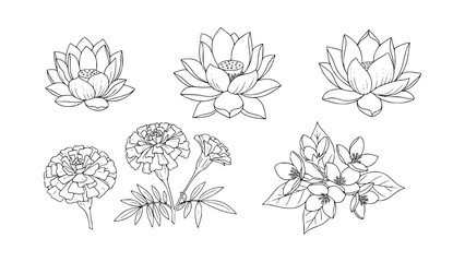 Fototapeta premium Collection of elegant floral illustrations featuring lotus flowers and marigolds, perfect for various design projects