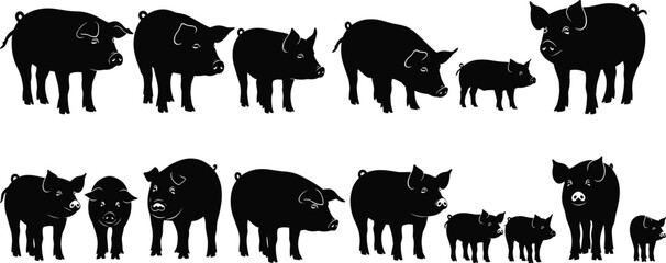 Large Collection of Pig Silhouettes with Black Vector Figures of Swine Hogs and Piglets for Farm Animals Livestock Industry Agriculture and Nature Graphic Design © MdHaydar