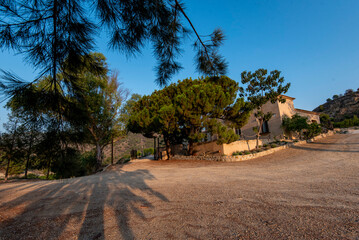 Fototapeta premium Rural house in countryside surrounded by pine trees