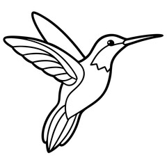 Hummingbird line art vector