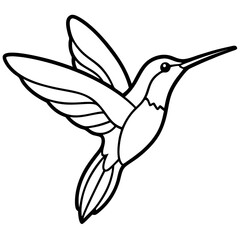 Hummingbird line art vector