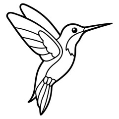 Hummingbird line art vector