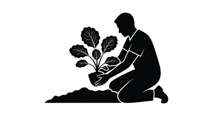 A kneeling gardener carefully tending to a leafy plant in a pot depicted as a striking silhouette © Komla02
