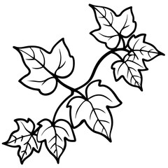 Ivy line art vector
