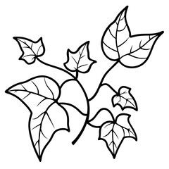 Ivy line art vector