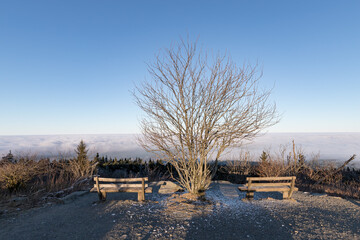 Gro&szlig;er Feldberg im Taunus in Hessen - eine winterliche Landschaft in Deutschland 