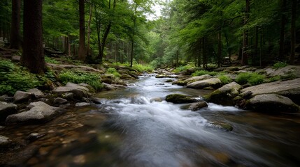 Obraz premium A serene river flows through a lush green forest with moss covered rocks lining the banks and water creating a soft blur effect