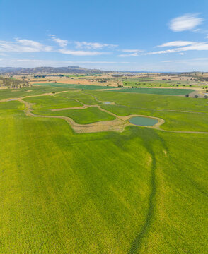 Aerial view of corn farming outside Glen Innes with the windfarm in the background