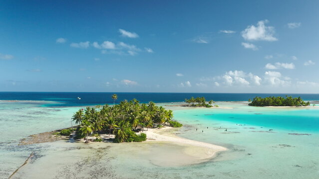 French Polynesia, Rangiroa islands: Aerial view tourists swimming in turquoise lagoon surrounded by white sand beach and palm trees. Wild nature landscape. Travel background. Drone flight