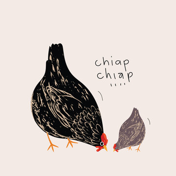 Chicken, hen sketch hand drawing vector illustration. Poultry farm animal vintage retro style isolated on background.