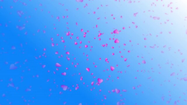 Pink heart shapes being lit up and falling down on blue gradient background. Abstract background for Happy Valentine's day and wedding ceremony.
