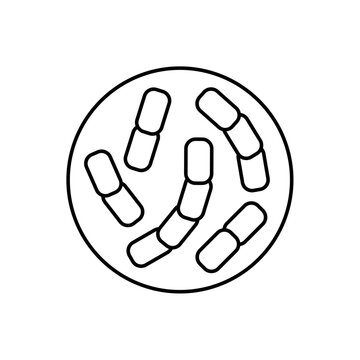 icon diplococcus structure with paired bacterial cells in a petri dish, isolated against a clean background.