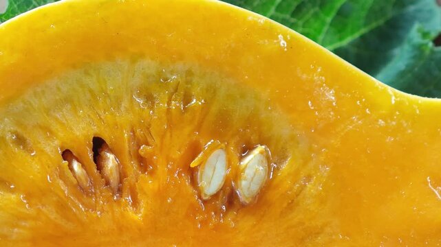 Yellow pumpkin in a container.