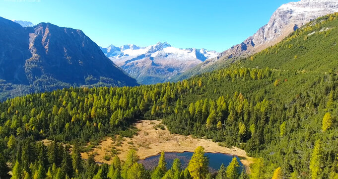 alpine meadow in the alps