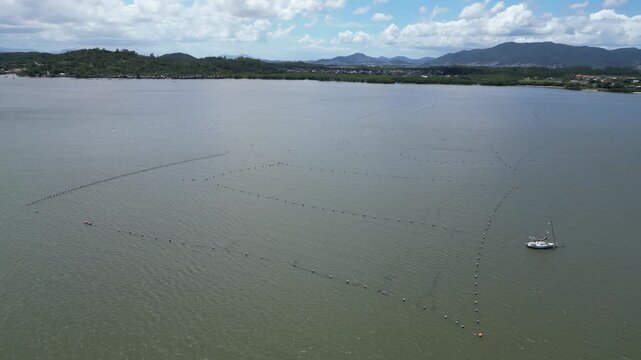 Paisagem Litor&acirc;nea Ba&iacute;a Mar Ribeir&atilde;o Da Ilha Fazenda De Ostras Frutos Do Mar Florian&oacute;polis Santa Catarina Brasil Ilha Cen&aacute;rio Costeiro Natureza Turismo Gastronomia