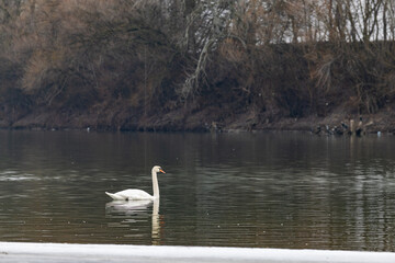 Beautiful Winter Landscape with Fog over Dniester River in Republic of Moldova at Sunrise