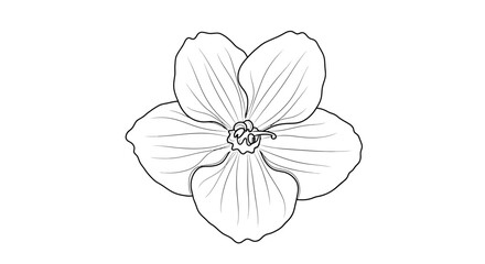 Black and White Line Drawing of a Single Five-Petal Flower