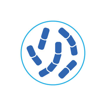 icon diplococcus structure with paired bacterial cells in a petri dish, isolated against a clean background.