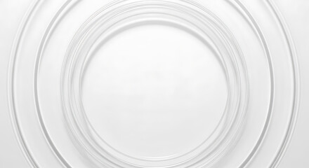Obraz premium Abstract White and Grey Minimalist Geometric Circles Background.
