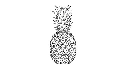 Pineapple Illustration: Tropical Fruit Sketch with Detailed Texture and Crown