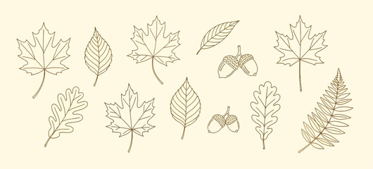 Whisk_aa802597b312766be404b1162927952fdr © your picture