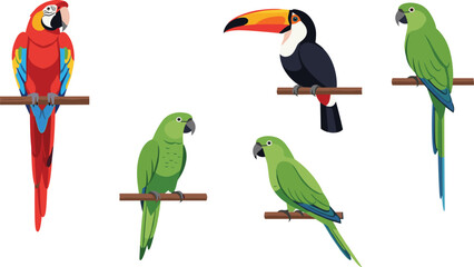 Fototapeta premium Tropical Parrot and Toucan Bird Vector Collection Colorful Exotic Macaw Perched on Branch for Wildlife Nature and Jungle Design.