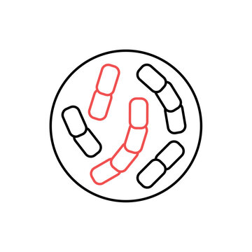 icon diplococcus structure with paired bacterial cells in a petri dish, isolated against a clean background.