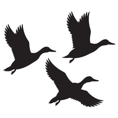 Obraz premium Three Ducks Flying in Formation Silhouette Isolated on white background
