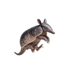 Obraz premium PNG of A detailed close-up of an armadillo in a playful pose, showcasing its unique armor.