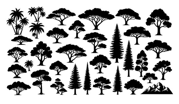 Diverse Tree Silhouette Vector Collection of Global Natural Zone Forest Trees Isolated on White