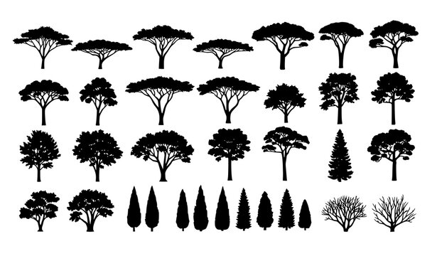 Big Set of Tree Silhouettes Vector Illustration with Global Biome and Climate Zone Trees on White Background