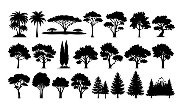 Tree Silhouettes Vector Collection Representing Different Natural Zones Isolated on White Background