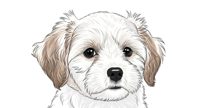 Adorable Fluffy White Puppy Dog Face Close-up Portrait, Cute Pet Animal