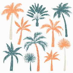 Obraz premium Collection of assorted palm trees illustration in a tropical setting viewed from directly above