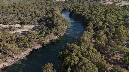 Landscape of a river flowing through trees